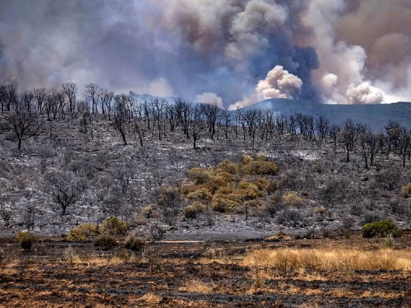 incendios forestales