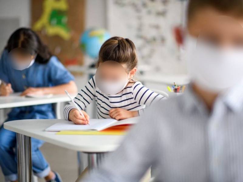 quintana roo dislexia