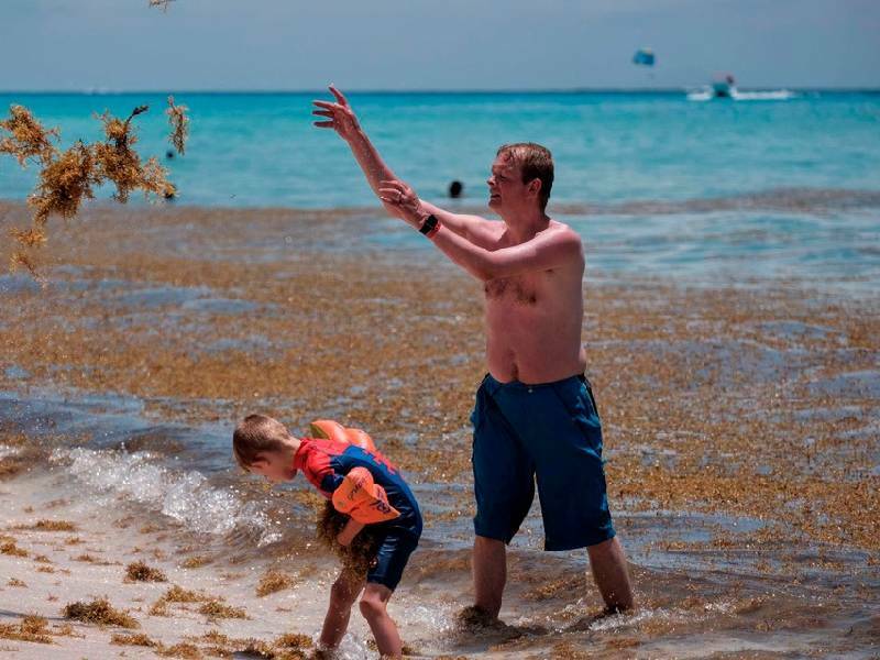 Sargazo da tregua a Cancún