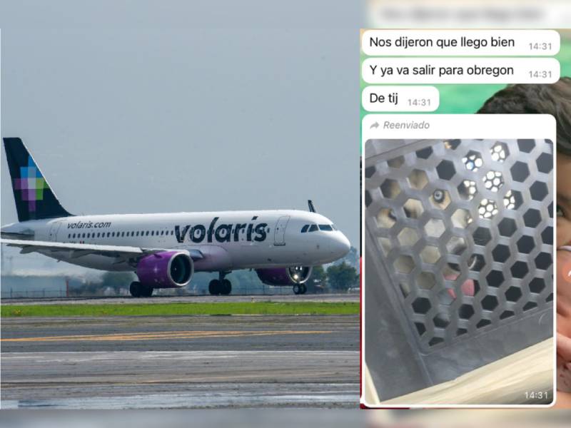 Viajero acusa a Volaris de olvidar perrito y maltratarlo