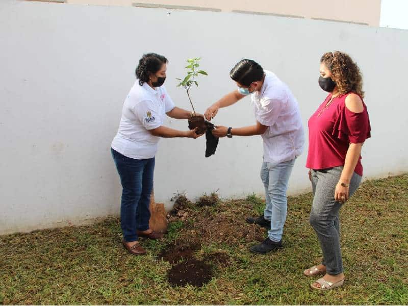Crean jardín comestible en la casa del adulto mayor morelense