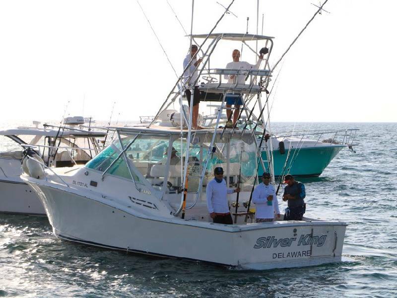 Arranca X edición de la Copa Capitán Ferrat de Pesca deportiva