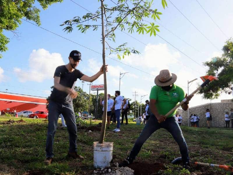 Suman esfuerzo gobierno de BJ y UT en programa "Apadrina un árbol" 