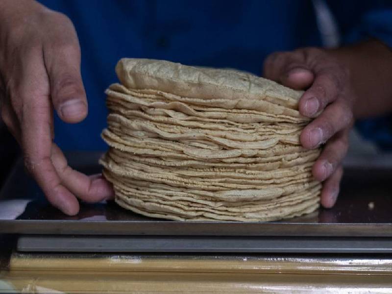 Figura el estado con precio alto de kilo de tortilla 