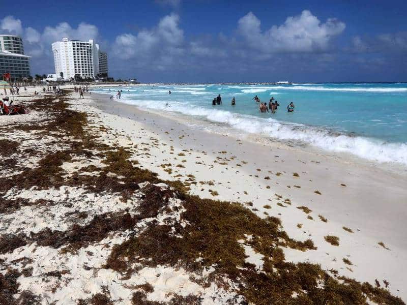 EL 78% de playas, con poco sargazo