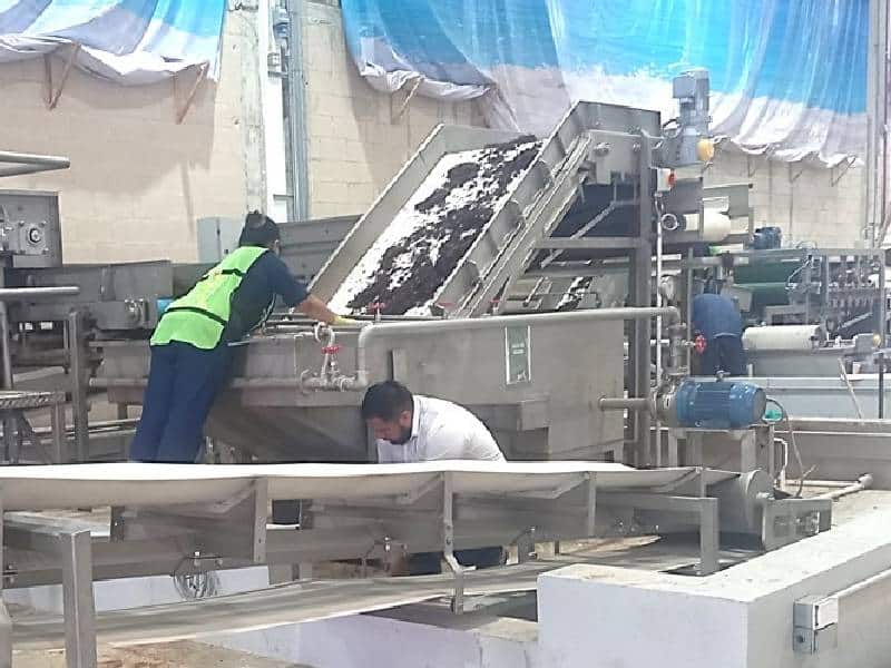 Activan programa “Adiós al sargazo” en Quintana Roo
