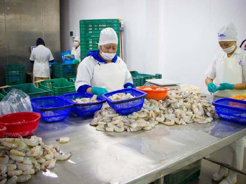 La Cofepris inspeccionará restaurantes y distribuidores de alimentos