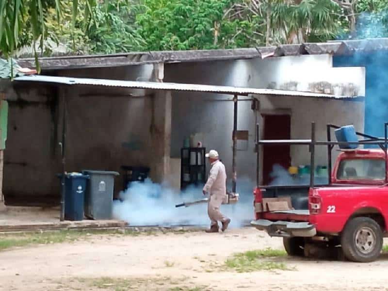 Secretaria de Salud pide participación para combatir criaderos de mosquitos