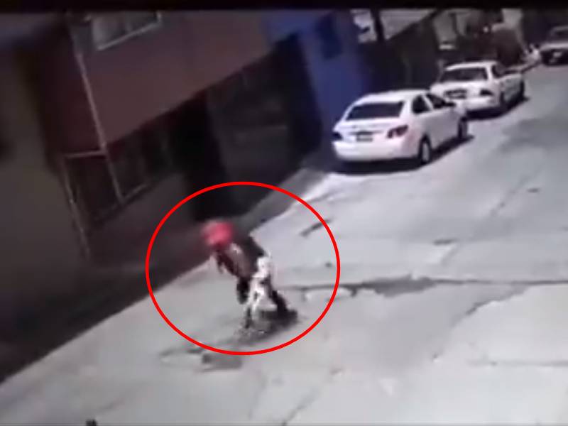 Video: Perro pitbull ataca a adulta mayor; dueños se niegan a cubrir daños
