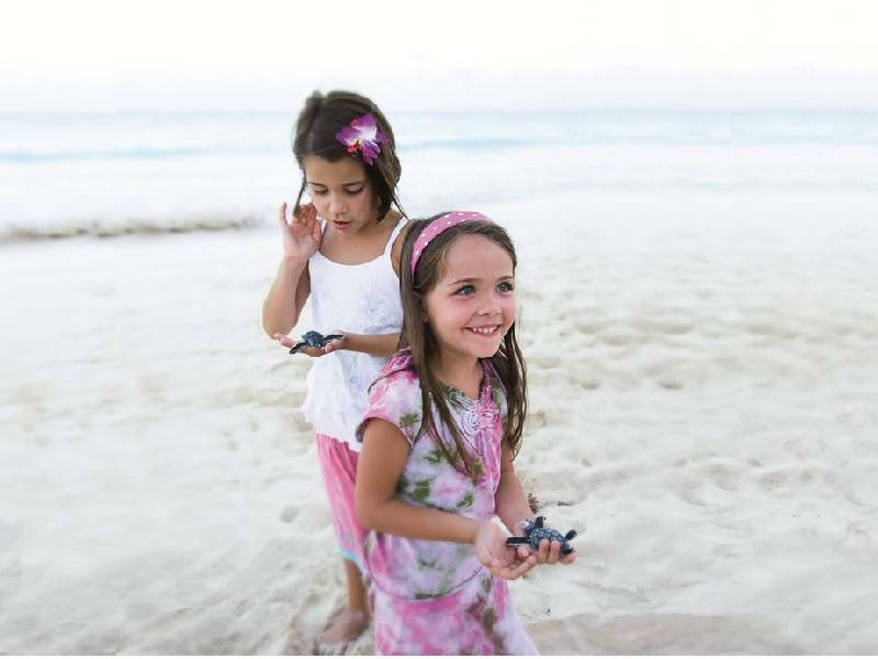 Como cada año protegen y liberan tortugas en la playa del The Ritz-Carlton Cancún