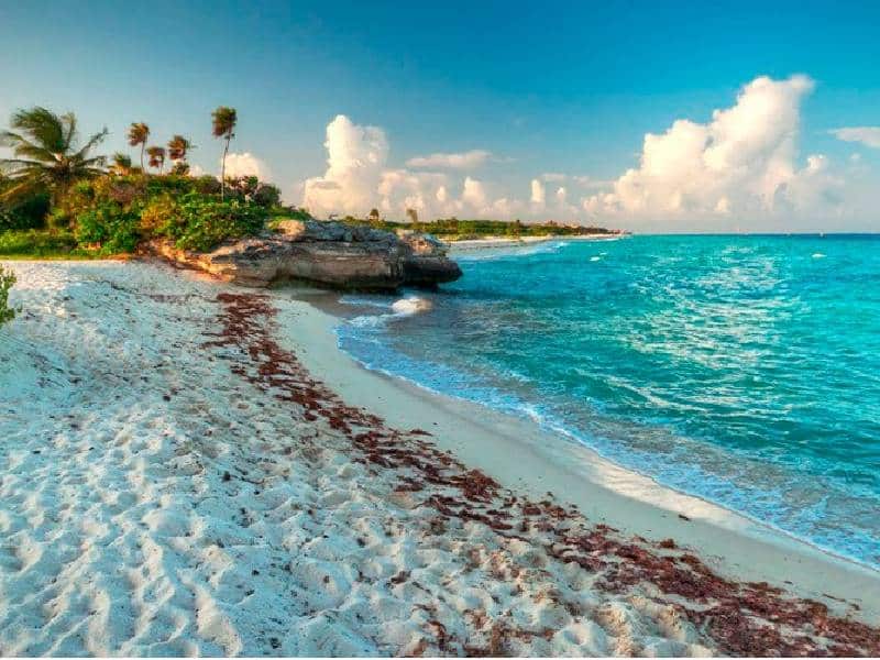 Descubre las maravillas de Cozumel