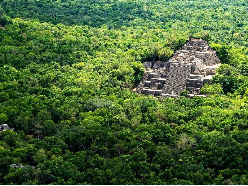 Generarán santuarios ecológicos en la región