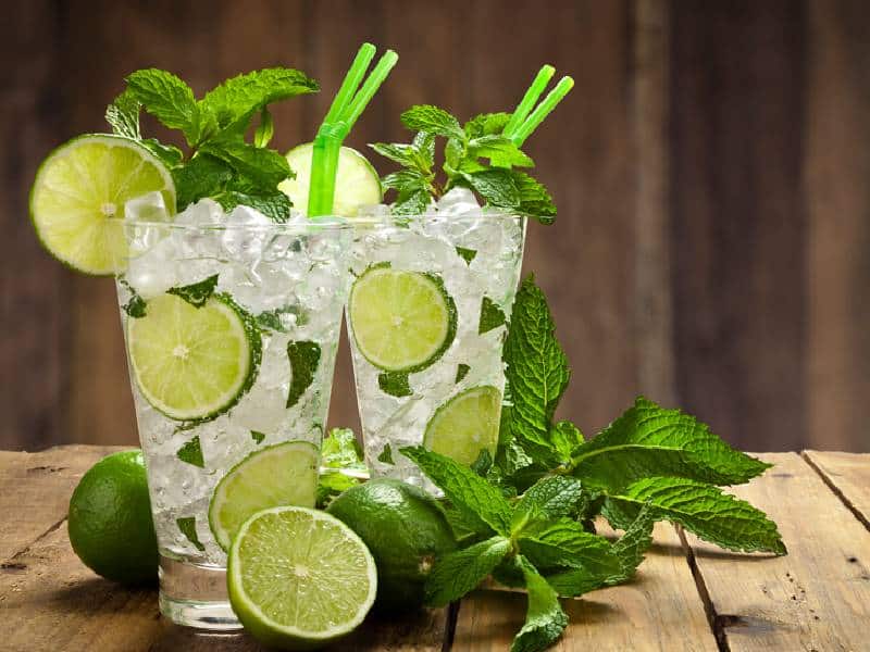 ¡Disfruta este verano de los mejores cocteles y bebidas!