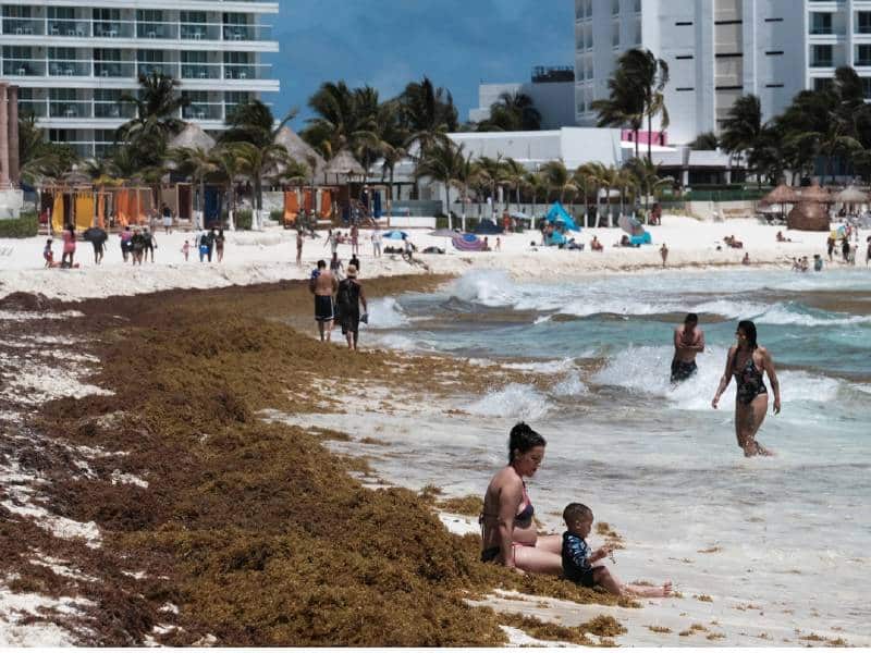 Acumula Mar Caribe 5 millones de toneladas de sargazo
