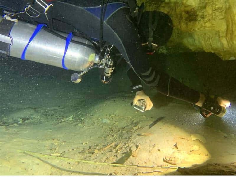 Es Quintana Roo albergue de vestigios de vida antigua