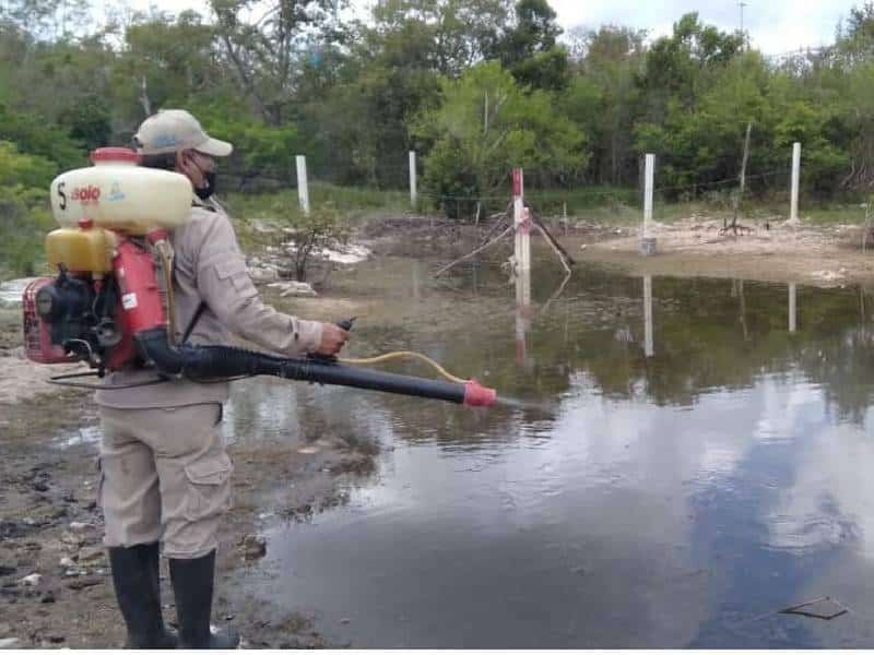 Inicia aplicación de larvicida en acumulamientos de agua