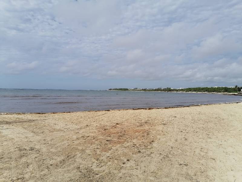 Buscan certificar 2 playas con distintivo Blue Flag