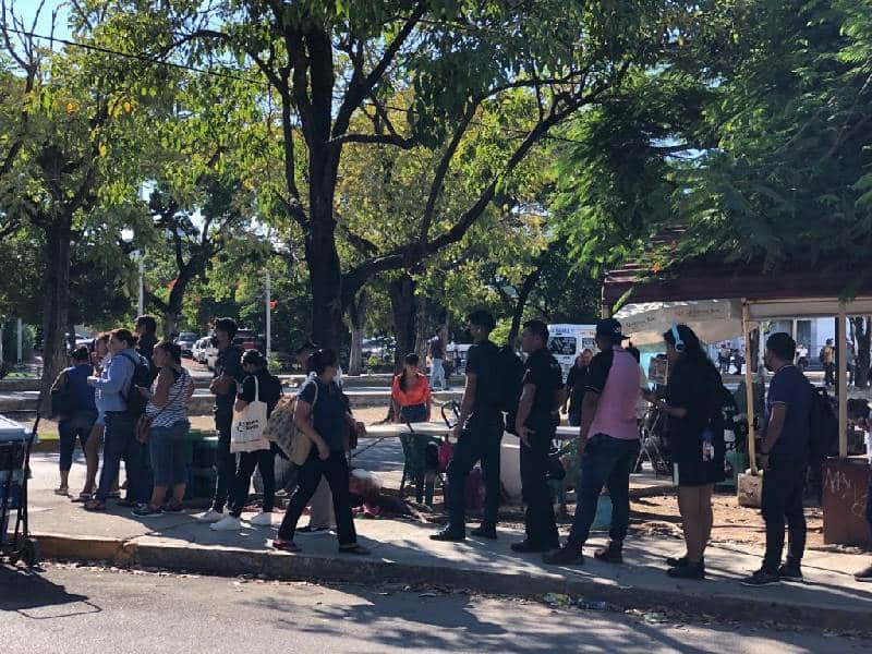 Kilométricas filas para abordar rutas