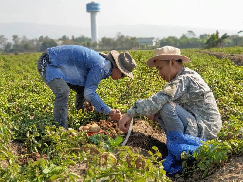 Insostenible aumento de agroinsumos en José María Morelos.