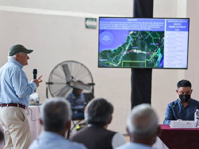 Señalan en Escárcega que el Tren Maya ayudará al ordenamiento territorial