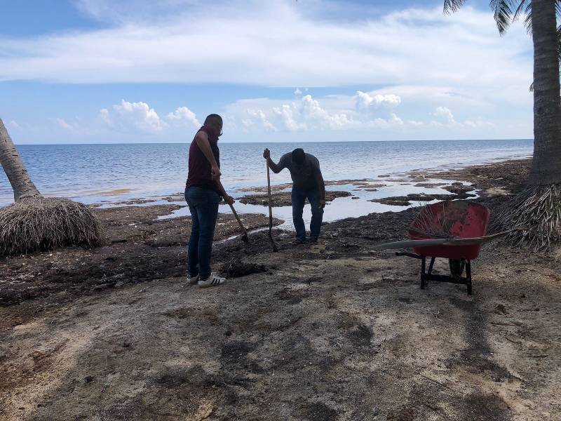Se acumula sargazo en Playa Coral de Cancún