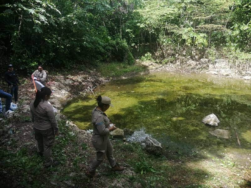 Extraen 120 kilos de basura en cenote de Cancún.