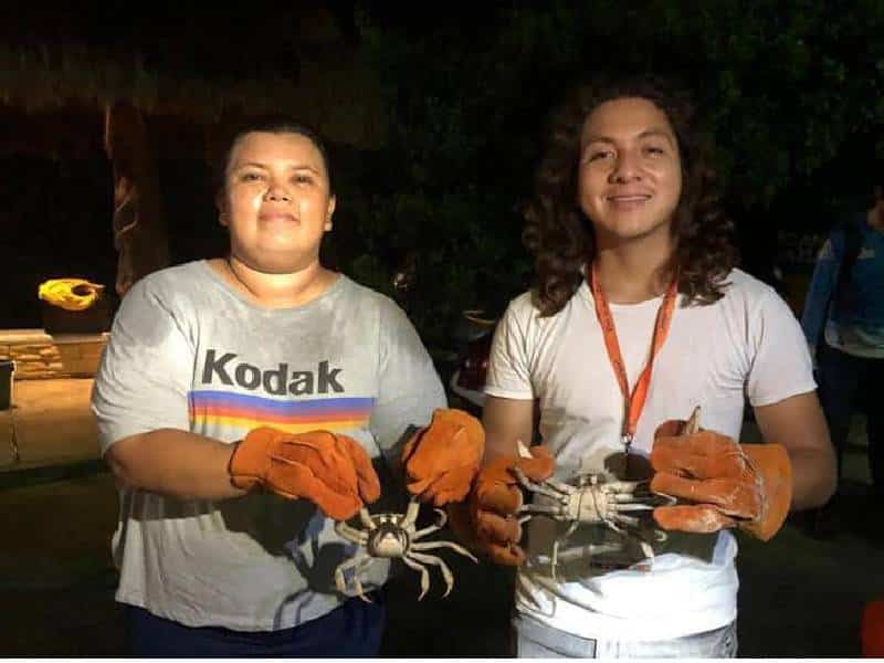 Protegen la conservación del cangrejo azul