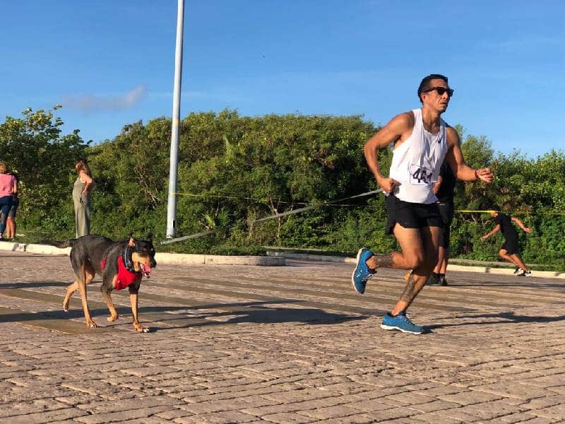 Celebran con éxito la 12.ᵃ Carrera Anáhuac