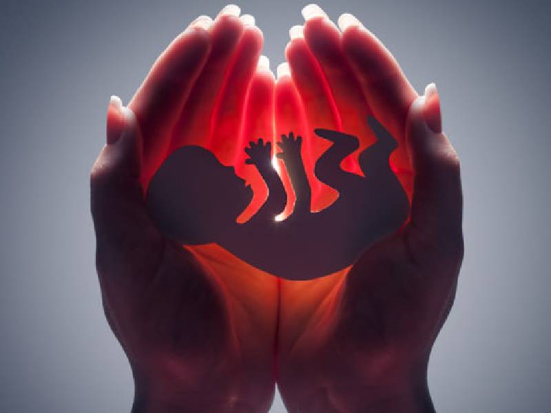 Promueven despenalizar el aborto