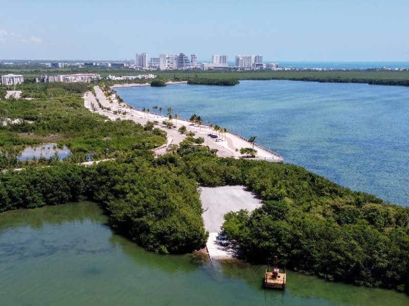 Lanzan programa de manejo, gestión y conservación del cocodrilo en Cancún