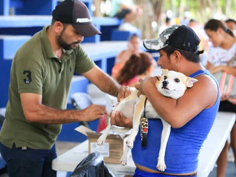 Fortalecen salud de mascotas en Solidaridad