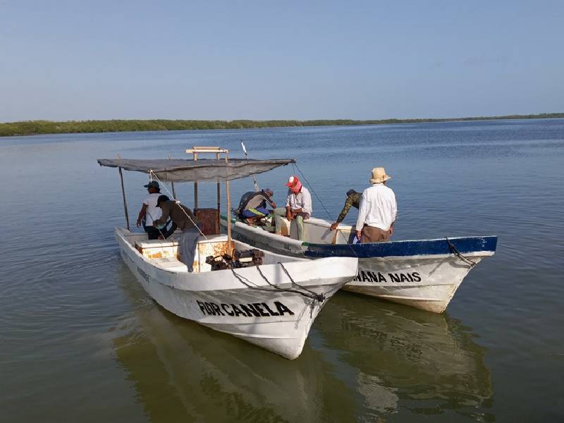 Representante de pescadores urge a autoridades establecer una cámara hiperbárica en Chiquilá