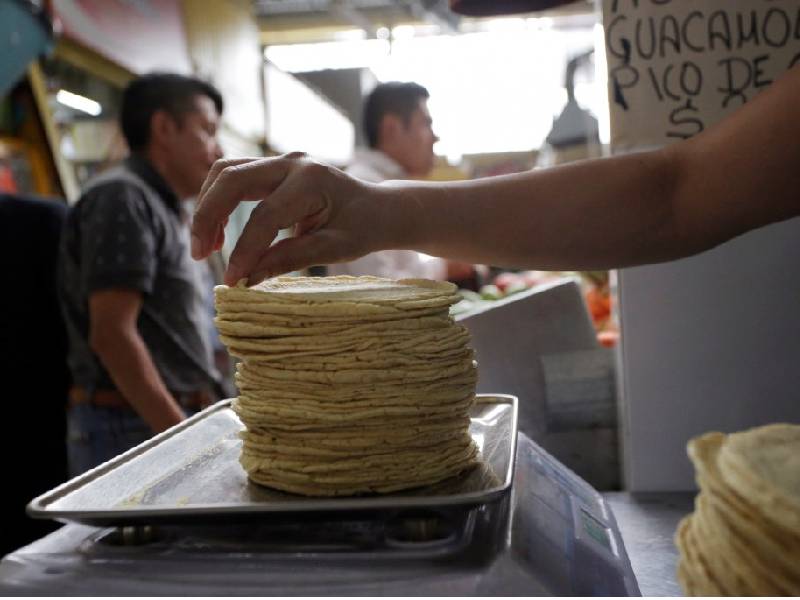 Buscan controlar precio de la tortilla