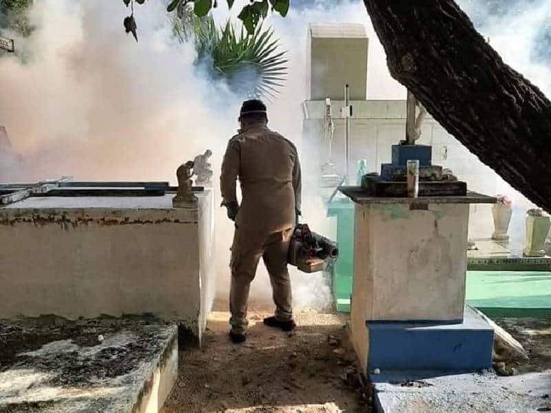 Evitan que exista transmisón de dengue en los panteones