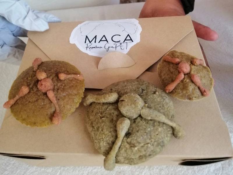 Elaboran Pan de Muerto para perros en Cancún