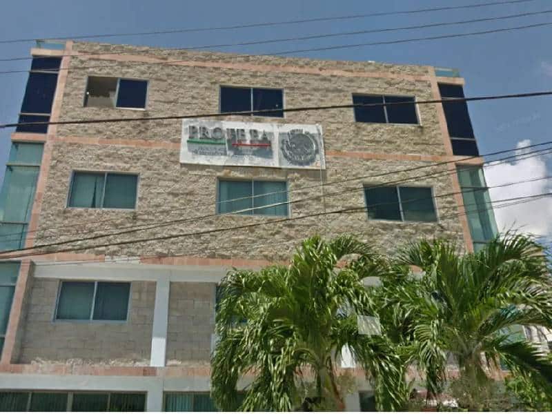 Baja con AMLO denuncias populares en PROFEPA