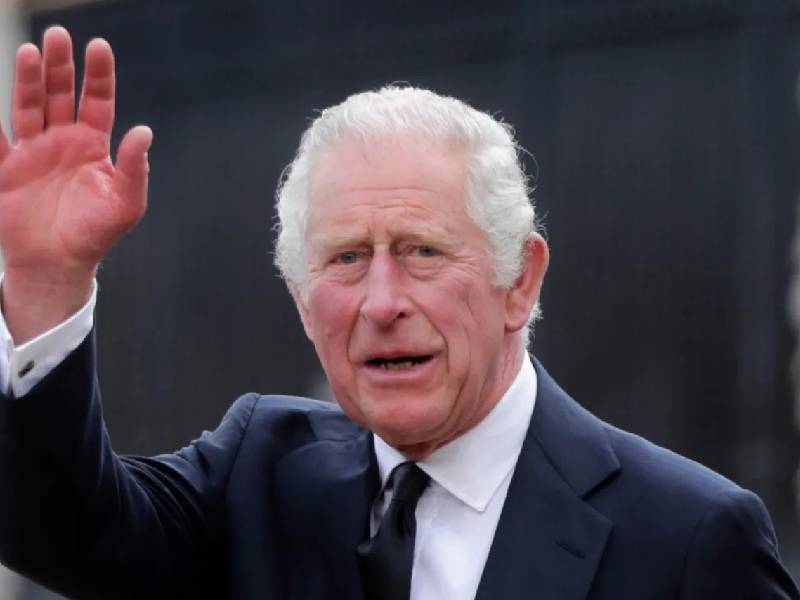 Se trata de la primera visita de Estado en Londres desde el acceso al trono el 8 de septiembre del rey Carlos III, tras la muerte de Isabel II.