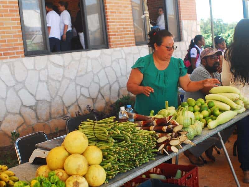 Participaron más de 50 expositores de las diversas comunidades del Municipio de Lázaro Cárdenas, así como de Yucatán