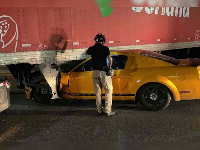mustang