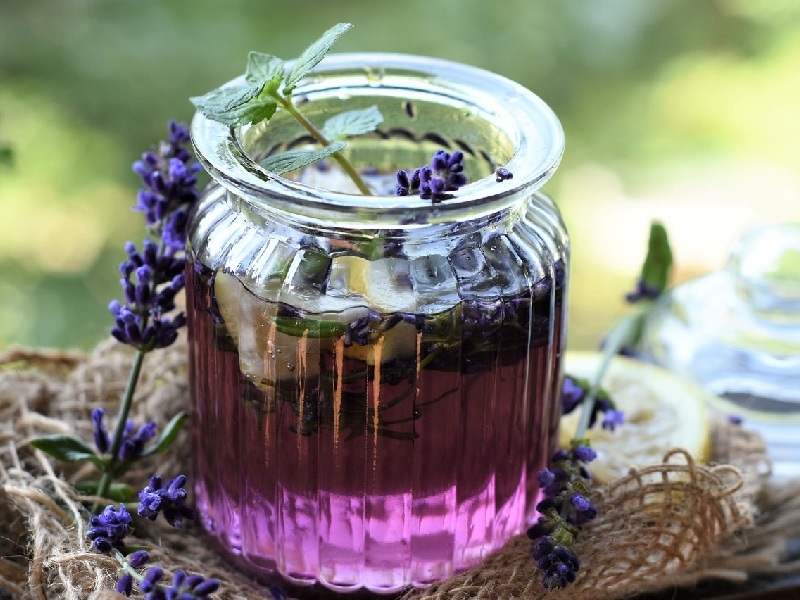 Beneficios de tomar té de lavanda