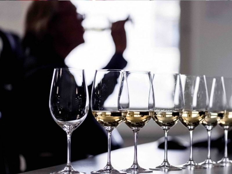 Los mejores vinos de este año