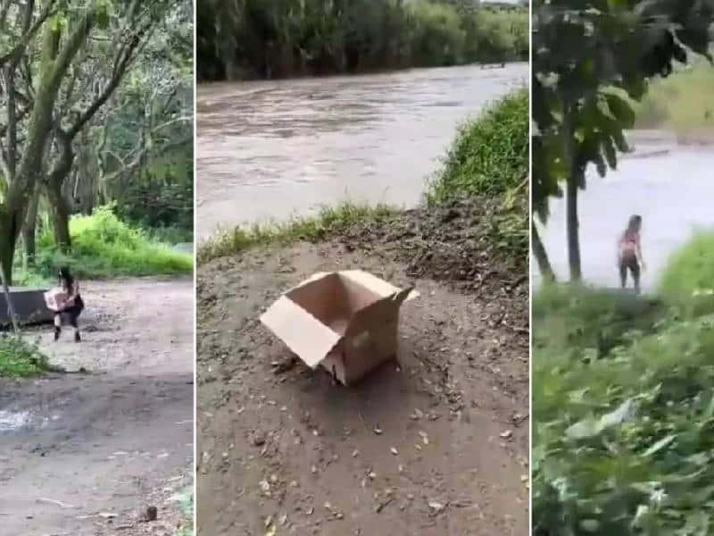 Video. ¡Terrible! Cachan a joven abandonando gatitos en el río