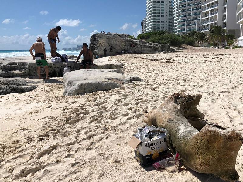 Contaminación amenaza Playa Fórum