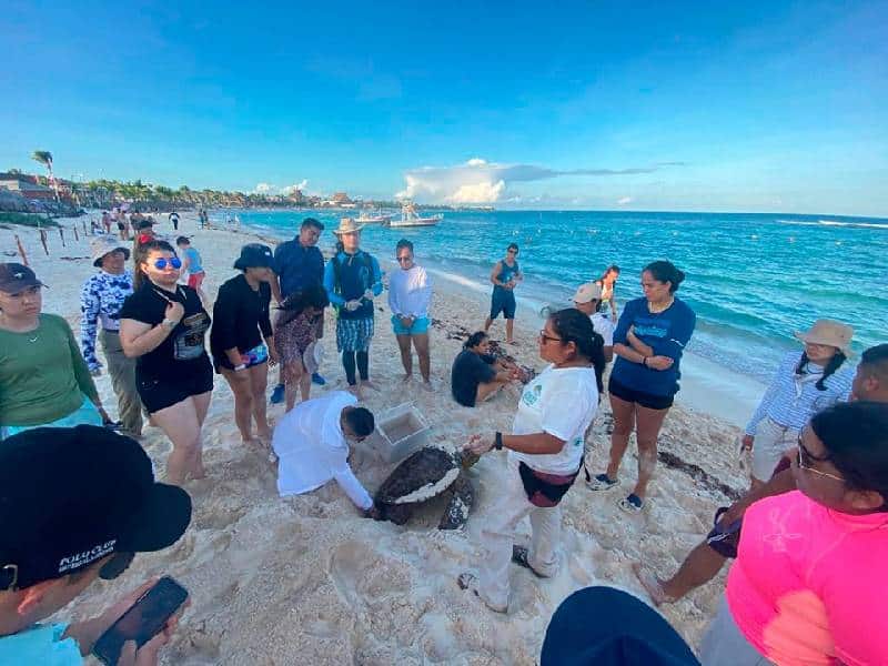 Fundación ecológica recibe en Playa del Carmen a universitarios mexiquenses