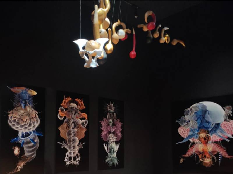 Transverberaciones, exposición en el Ex Teresa