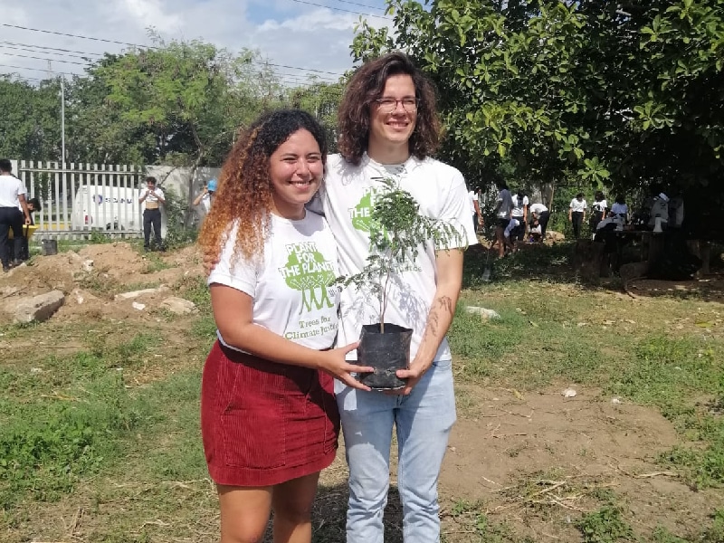 Se han restaurado en la Península de Yucatán nueve millones de árboles