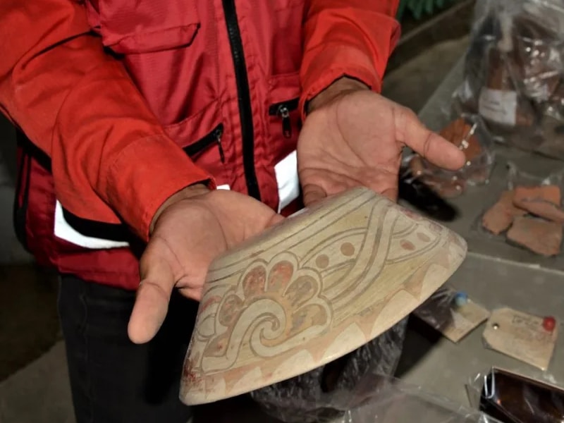 Hallazgo en Indios Verdes