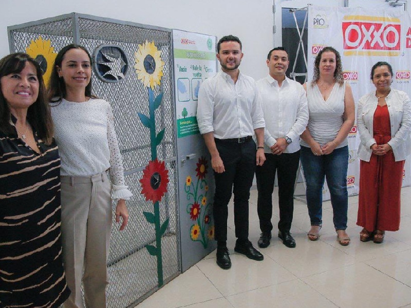 participación social