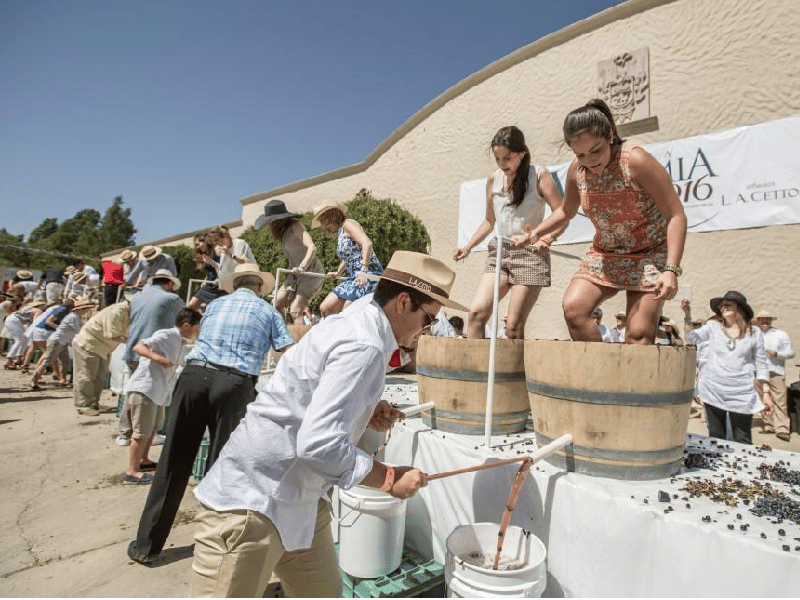 Sectur presenta el Primer Catálogo de Rutas y Productos Enoturísticos de México 2022