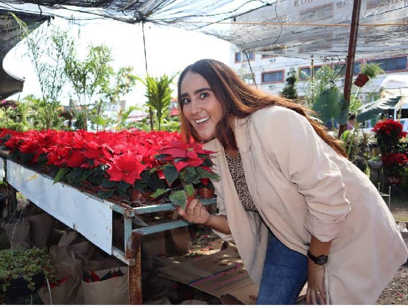 Noches buenas llegan a Cancún